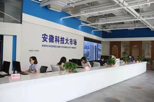 安徽科技大市場公開遴選科技信息咨詢服務機構，助力科技創新發展