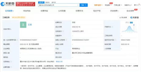 理想汽車(chē)12億重慶設(shè)立科技新公司，跨界金融信息咨詢(xún)將帶來(lái)什么？
